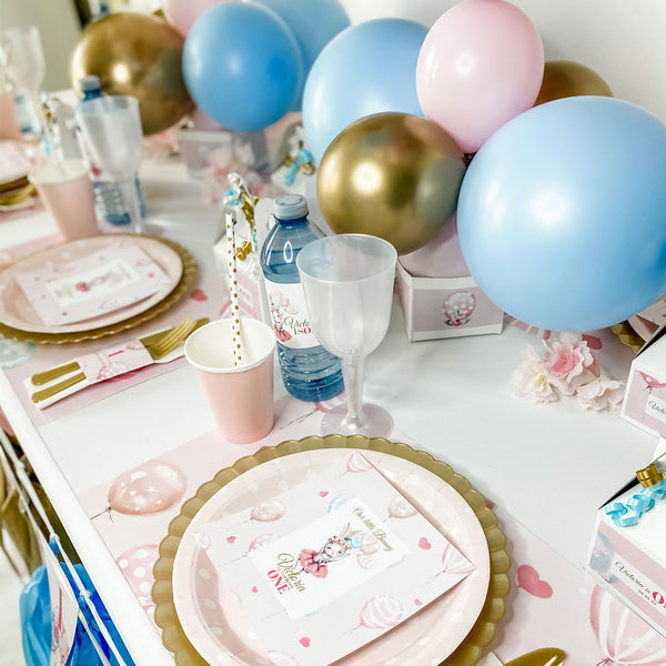 BABY GIRL BALLERINA BUNNY FIRST BIRTHDAY