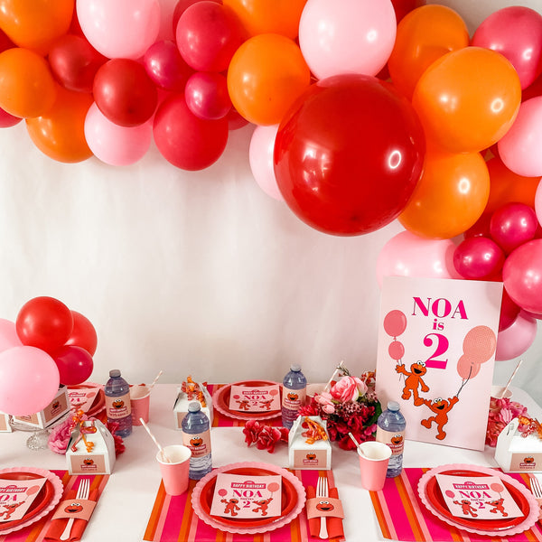 ELMO GIRLY GIRL BIRTHDAY