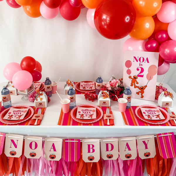 ELMO GIRLY GIRL BIRTHDAY