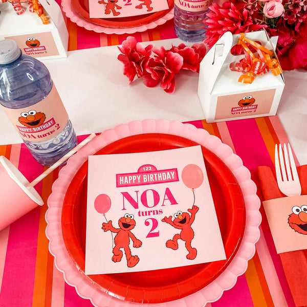 ELMO GIRLY GIRL BIRTHDAY