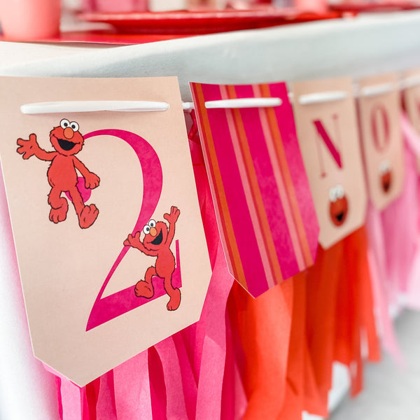 ELMO GIRLY GIRL BIRTHDAY