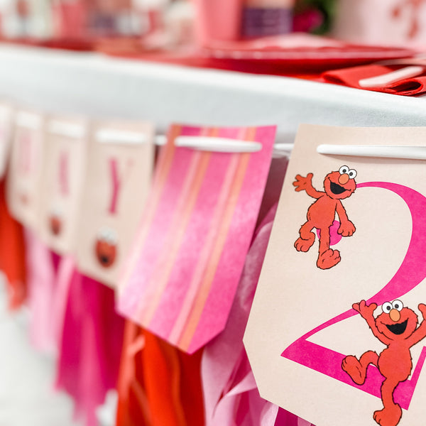 ELMO GIRLY GIRL BIRTHDAY