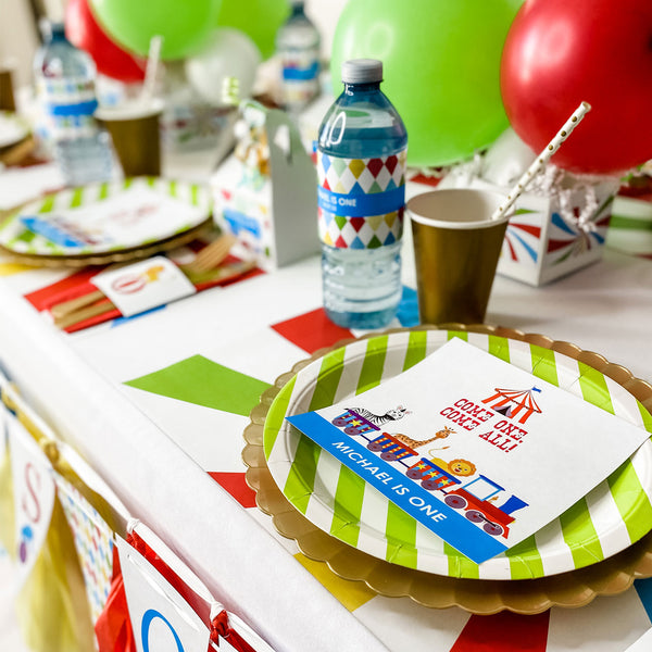CIRCUS 1ST BIRTHDAY FUN CARNIVAL