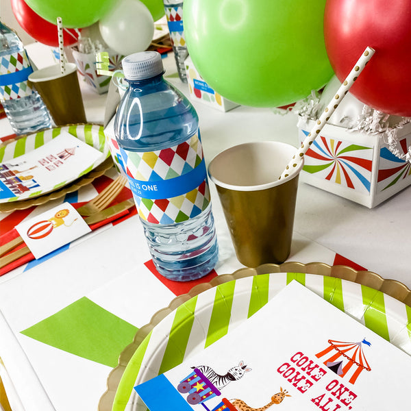 CIRCUS 1ST BIRTHDAY FUN CARNIVAL