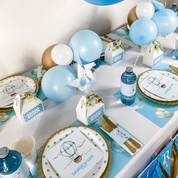 UP UP AND AWAY FIRST BIRTHDAY