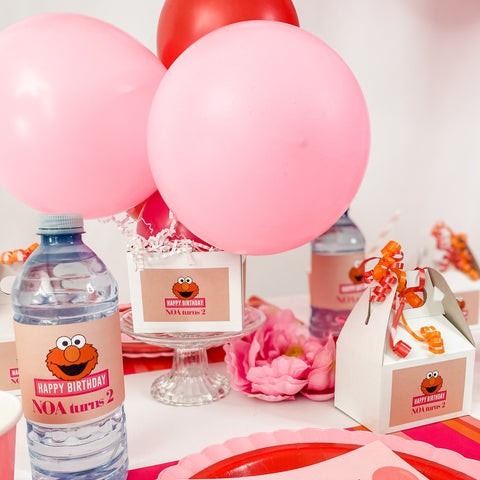 CENTRE DE TABLE BALLON ELMO GIRLY GIRL BIRTHDAY